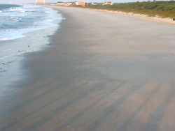the beach from the fishing pier