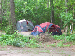 tents in the park's campground