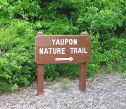 the Yaupon Trail trailhead sign
