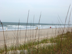 the beach as seen from the dunes